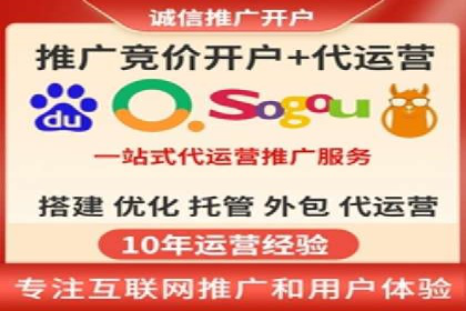 百度广告投放策略与效果评估案例